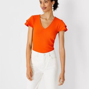 NWT Ann Taylor Ribbed V Neck Flutter Sleeve Top Size Large